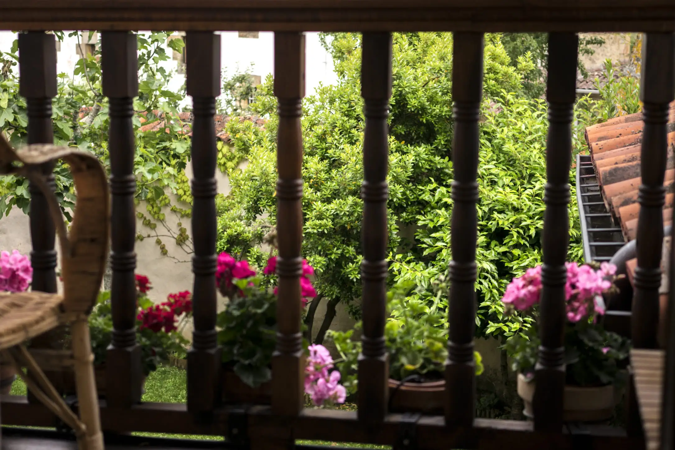 {{ $t('foto_habitacion')}}