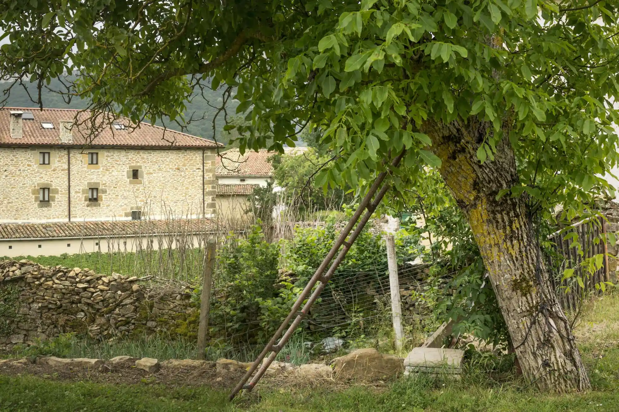 {{ $t('foto_habitacion')}}