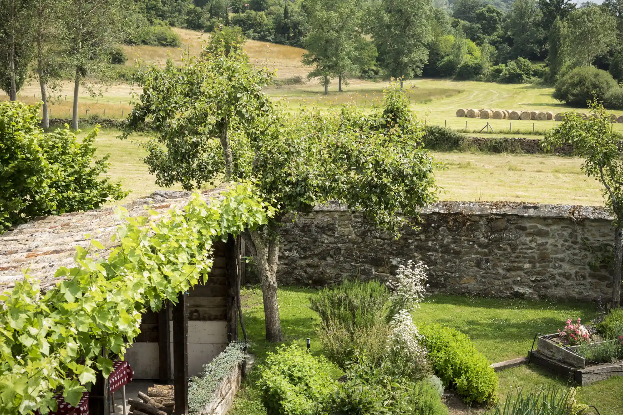 {{ $t('foto_habitacion')}}